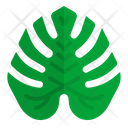پیش‌نمایش فایل monstera-3946775 از پک هاوایی