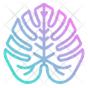 پیش‌نمایش فایل monstera-3946815 از پک هاوایی
