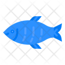 پیش‌نمایش فایل fish-3954459 از پک قصاب