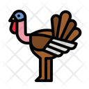 پیش‌نمایش فایل chicken-3954653 از پک قصاب