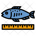 پیش‌نمایش فایل fish-size-4004835 از پک ماهیگیری