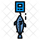 پیش‌نمایش فایل fish-weight-4004853 از پک ماهیگیری