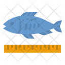 پیش‌نمایش فایل fish-size-4004881 از پک ماهیگیری