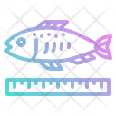 پیش‌نمایش فایل fish-size-4004916 از پک ماهیگیری