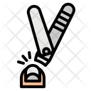 پیش‌نمایش فایل nail-clipper-4028221 از پک بهداشت روتین