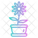 پیش‌نمایش فایل daisy-flower-4280896 از پک عید پاک