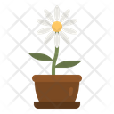 پیش‌نمایش فایل daisy-flower-4280860 از پک عید پاک