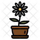 پیش‌نمایش فایل daisy-flower-4280824 از پک عید پاک