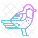 پیش‌نمایش فایل bird-4285226 از پک طبیعت