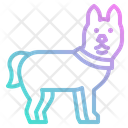پیش‌نمایش فایل dog-4285197 از پک طبیعت
