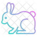 پیش‌نمایش فایل rabbit-4285210 از پک طبیعت