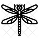 پیش‌نمایش فایل dragonfly-4285235 از پک طبیعت