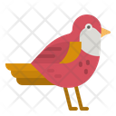 پیش‌نمایش فایل bird-4285155 از پک طبیعت