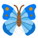 پیش‌نمایش فایل butterfly-4285156 از پک طبیعت