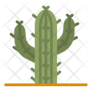 پیش‌نمایش فایل cactus-4285157 از پک طبیعت