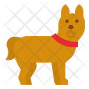 پیش‌نمایش فایل dog-4285162 از پک طبیعت