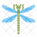 پیش‌نمایش فایل dragonfly-4285163 از پک طبیعت