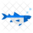 پیش‌نمایش فایل fish-4285164 از پک طبیعت