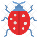 پیش‌نمایش فایل ladybug-4285169 از پک طبیعت