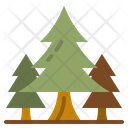 پیش‌نمایش فایل pine-4285173 از پک طبیعت