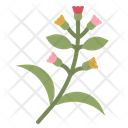 پیش‌نمایش فایل plant-4285174 از پک طبیعت