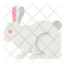 پیش‌نمایش فایل rabbit-4285175 از پک طبیعت