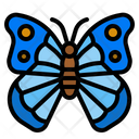پیش‌نمایش فایل butterfly-4285121 از پک طبیعت