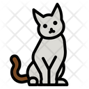 پیش‌نمایش فایل cat-4285123 از پک طبیعت