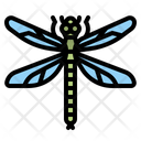 پیش‌نمایش فایل dragonfly-4285128 از پک طبیعت