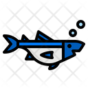 پیش‌نمایش فایل fish-4285129 از پک طبیعت