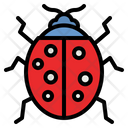 پیش‌نمایش فایل ladybug-4285134 از پک طبیعت