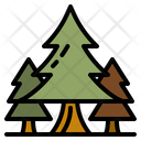 پیش‌نمایش فایل pine-4285138 از پک طبیعت