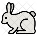 پیش‌نمایش فایل rabbit-4285140 از پک طبیعت