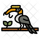 پیش‌نمایش فایل hornbill-bird-4336169 از پک مهمانی تابستانی