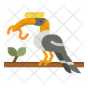 پیش‌نمایش فایل hornbill-bird-4336205 از پک مهمانی تابستانی