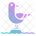 پیش‌نمایش فایل sea-gull-4335664 از پک ملوان