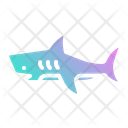 پیش‌نمایش فایل shark-4335665 از پک ملوان