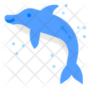 پیش‌نمایش فایل dolphin-4335501 از پک ملوان