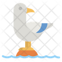 پیش‌نمایش فایل sea-gull-4335518 از پک ملوان