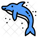 پیش‌نمایش فایل dolphin-4335467 از پک ملوان