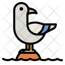 پیش‌نمایش فایل sea-gull-4335484 از پک ملوان