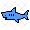 پیش‌نمایش فایل shark-4335485 از پک ملوان