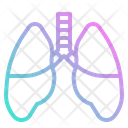 پیش‌نمایش فایل lungs-4340871 از پک چکاپ تندرستی