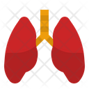 پیش‌نمایش فایل lungs-4340837 از پک چکاپ تندرستی