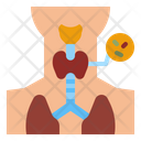پیش‌نمایش فایل thyroid-4340847 از پک چکاپ تندرستی