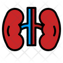 پیش‌نمایش فایل kidney-4340823 از پک چکاپ تندرستی