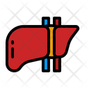 پیش‌نمایش فایل liver-4340825 از پک چکاپ تندرستی