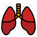 پیش‌نمایش فایل lungs-4340826 از پک چکاپ تندرستی