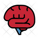پیش‌نمایش فایل brain-4355236 از پک سلامت بدن