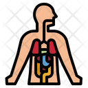 پیش‌نمایش فایل human-anatomy-4355231 از پک سلامت بدن